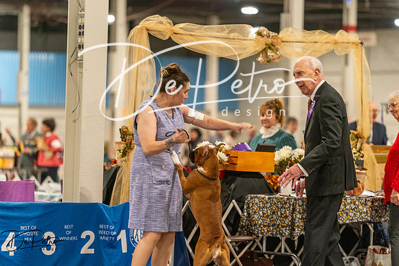 20261023-DSC05315