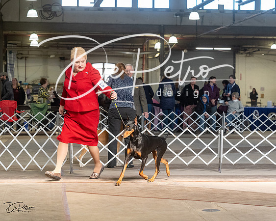 20230402-DSC08883