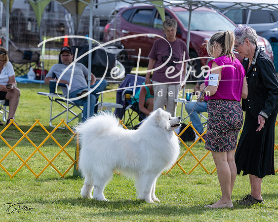 20230513-DSC00844