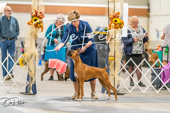 20261022-DSC00268