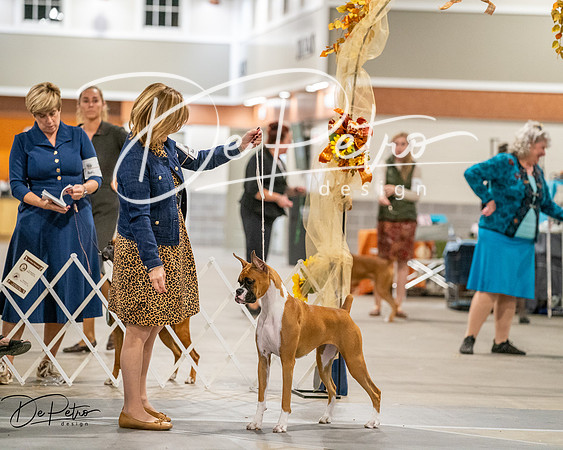 20261022-DSC03072