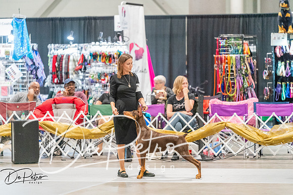 20261001-DSC07380