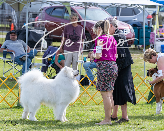 20230513-DSC00847