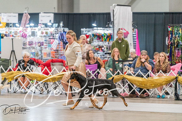 20260927-DSC05651