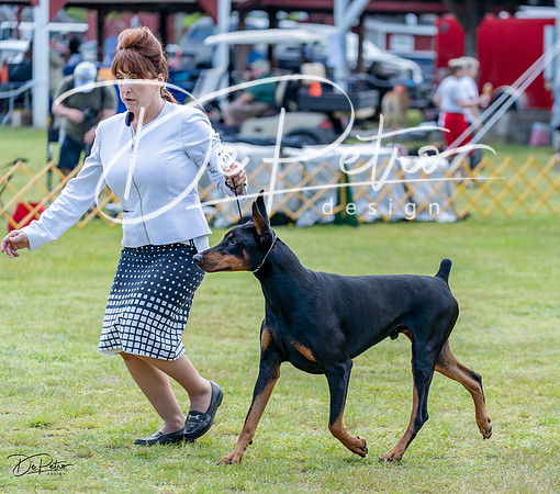 20230513-DSC08839