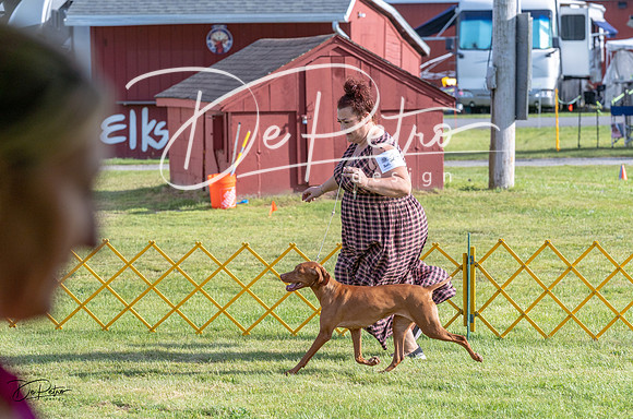20230513-DSC02193