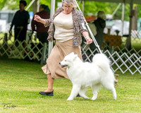 20230427-DSC03070
