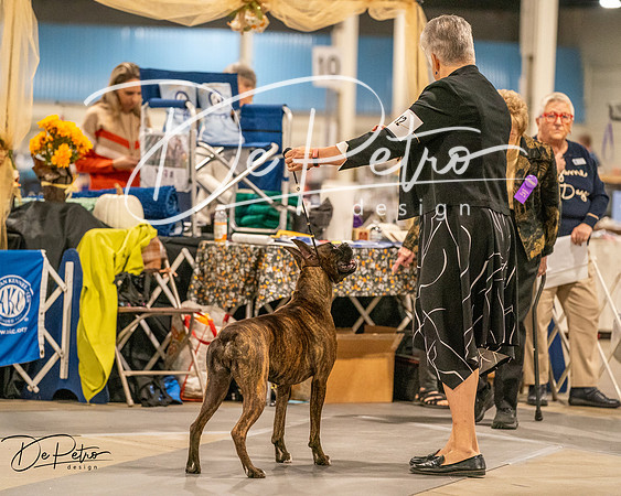 20261022-DSC01806