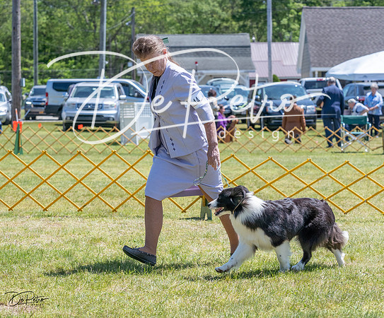 20230514-DSC05023