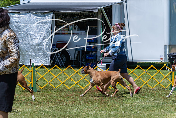 20230514-DSC04333