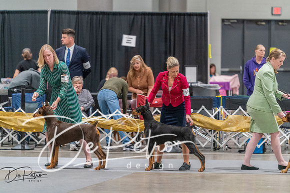 20260927-DSC05103