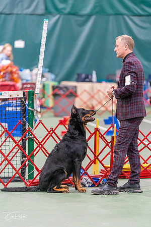 20261017-DSC08476