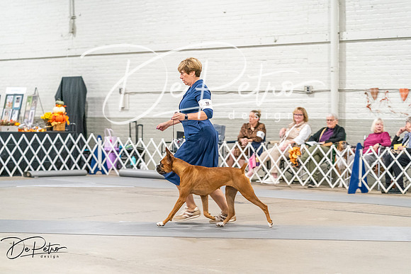 20261022-DSC00292