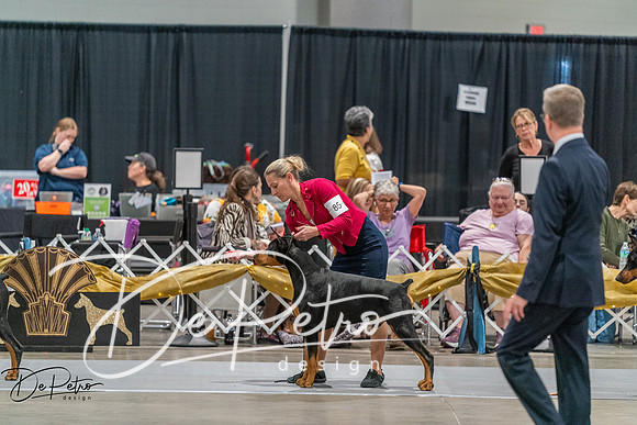 20260927-DSC05413