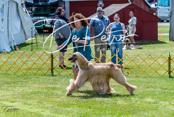 20230513-DSC09152