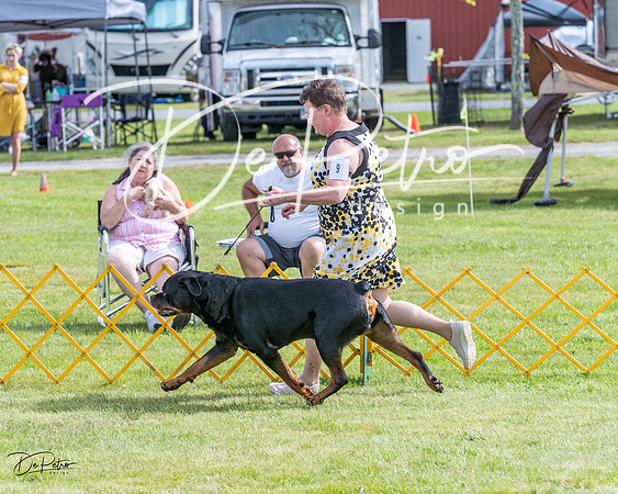 20230513-DSC00687