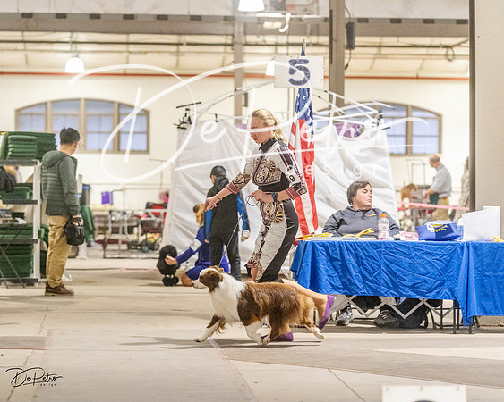 20230401-DSC08012