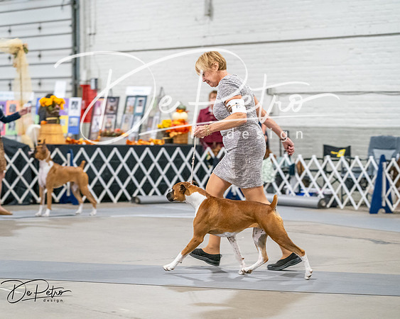 20261022-DSC03099