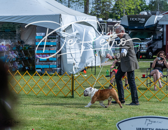 20230513-DSC00446