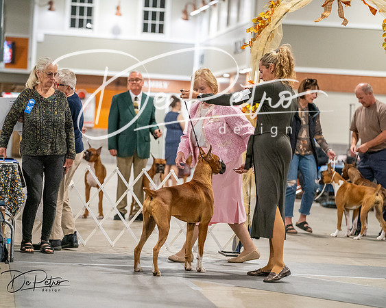 20261022-DSC02808