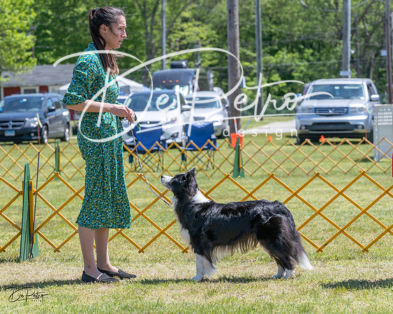 20230514-DSC04766