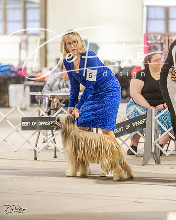 20230401-DSC08122