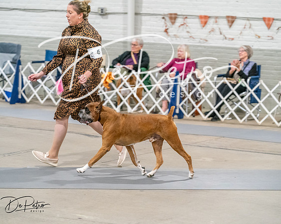 20261022-DSC02047
