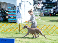 20230512-DSC05668