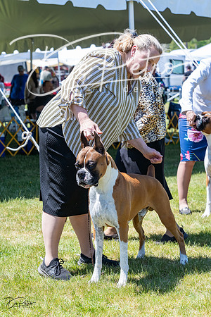 20230514-DSC04257