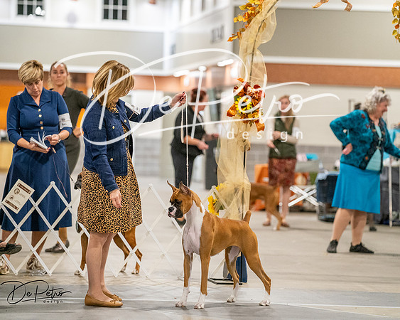 20261022-DSC03073