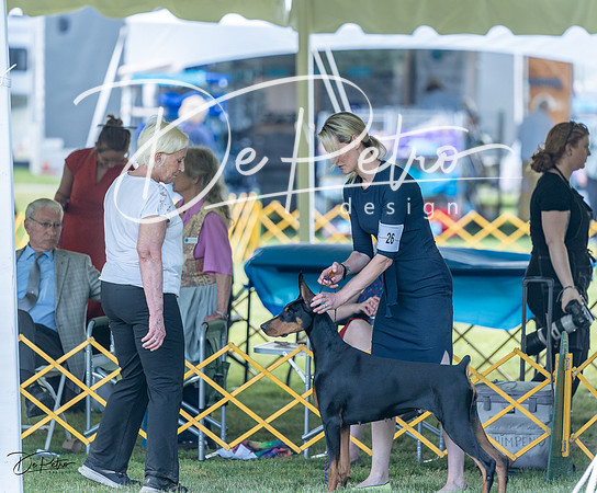 20230513-DSC08930