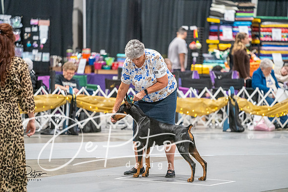 20260926-DSC04581