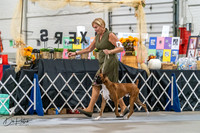 20261023-DSC04829