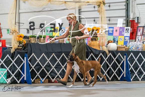 20261023-DSC04829