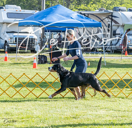 20230513-DSC02353
