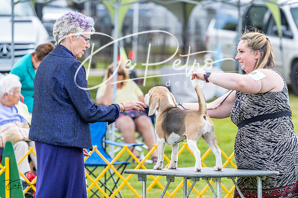 20230512-DSC03792
