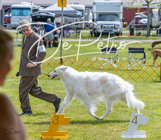 20230513-DSC09409
