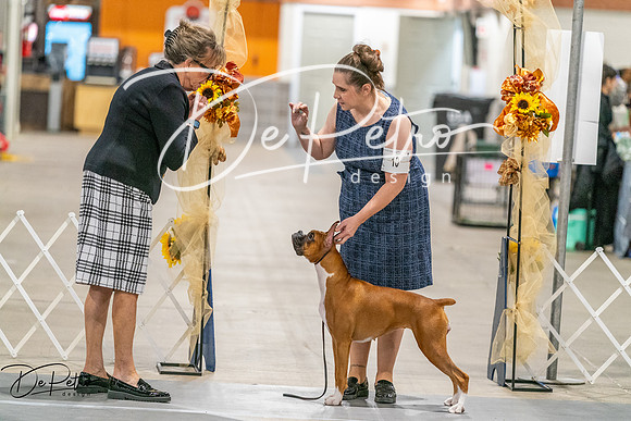 20261022-DSC00001