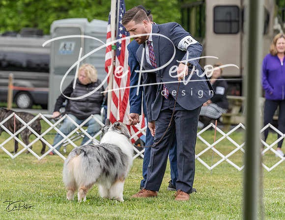 20230427-DSC07371