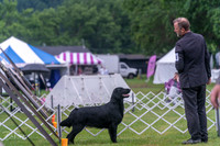 20250626-DSC02387