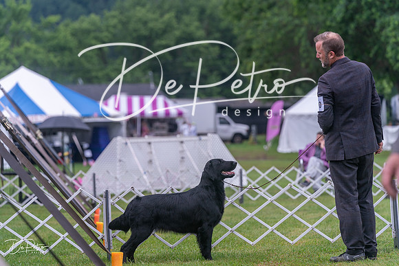 20250626-DSC02387