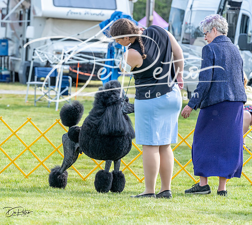 20230512-DSC06697