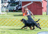 20230512-DSC05601