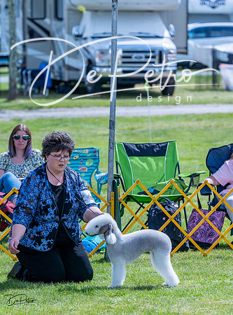 20230512-DSC04081