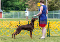20230513-DSC08112