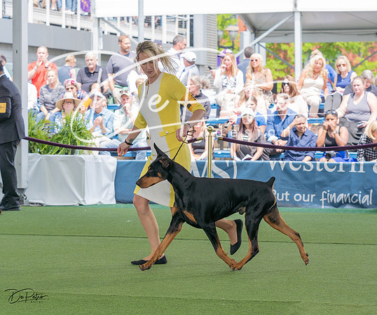 20230509-DSC01121