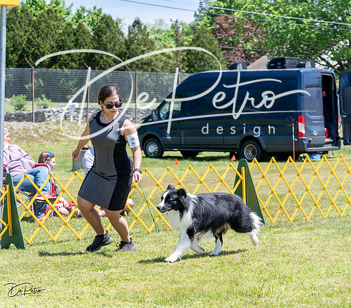 20230514-DSC04829