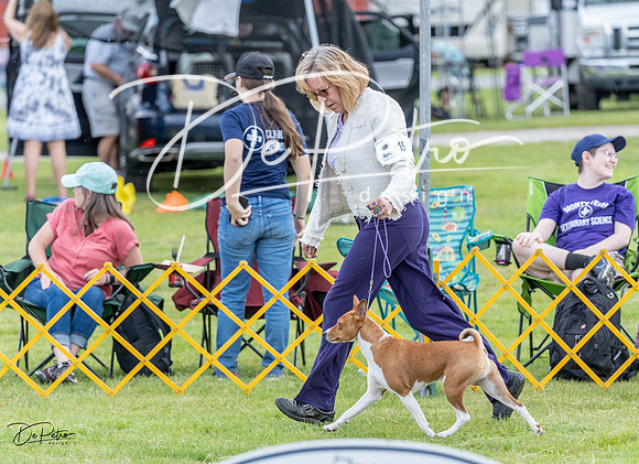 20230512-DSC03728