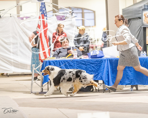 20230401-DSC07740