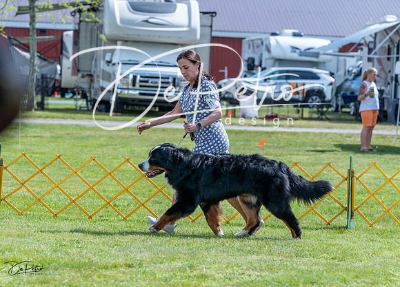 20230512-DSC05264